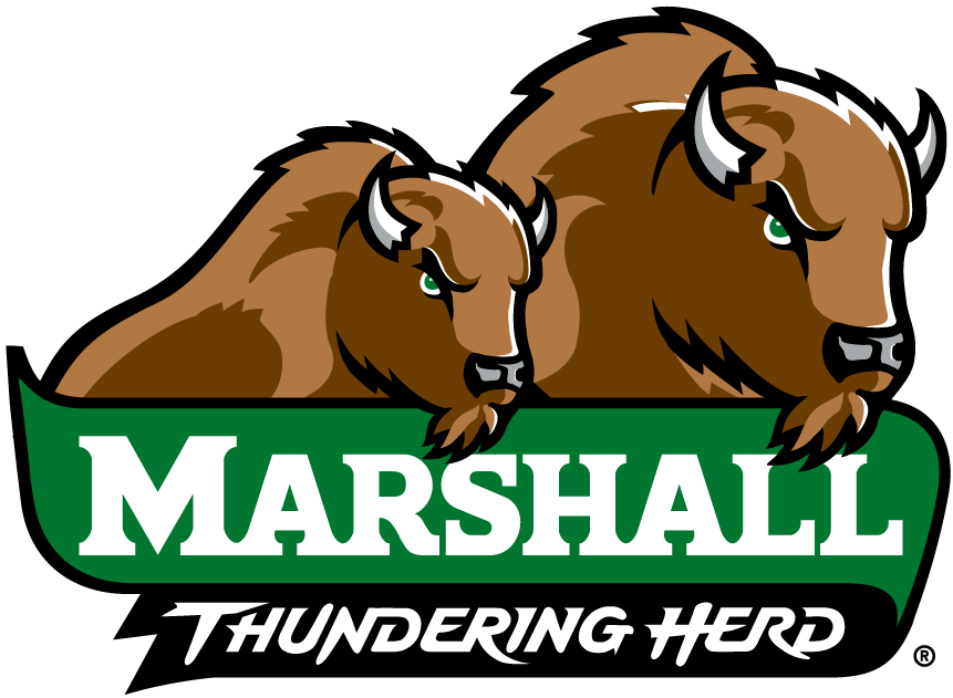 Marshall Thundering Herd 2001-Pres Alternate Logo t shirts iron on transfers v4